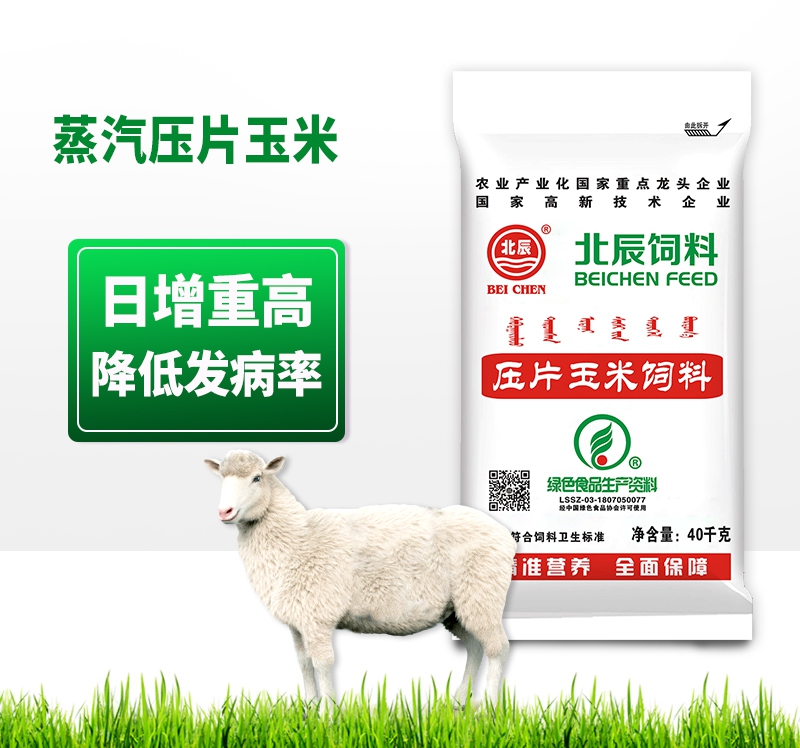蒸汽壓片玉米